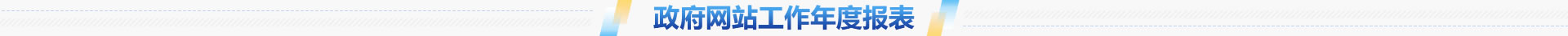 政府網(wǎng)站工作年度報表