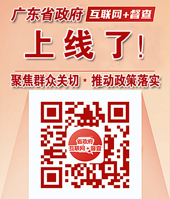 廣東省政府“互聯(lián)網(wǎng)+督查”平臺