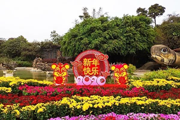 TIM圖片20200122101300.jpg