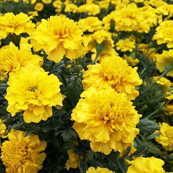 TIM圖片20200122101321.jpg