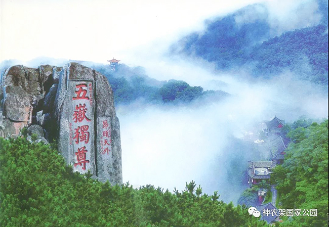 山東泰山.jpg