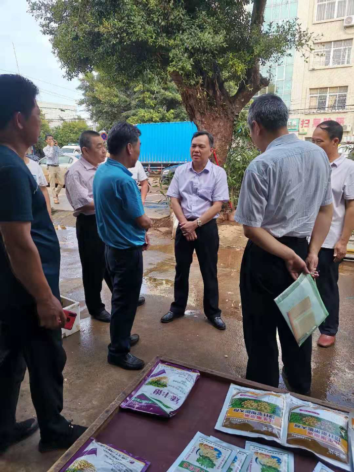 市供銷社黨組書記、主任葉文新到徐聞?wù){(diào)研農(nóng)資供應(yīng)情況.jpg