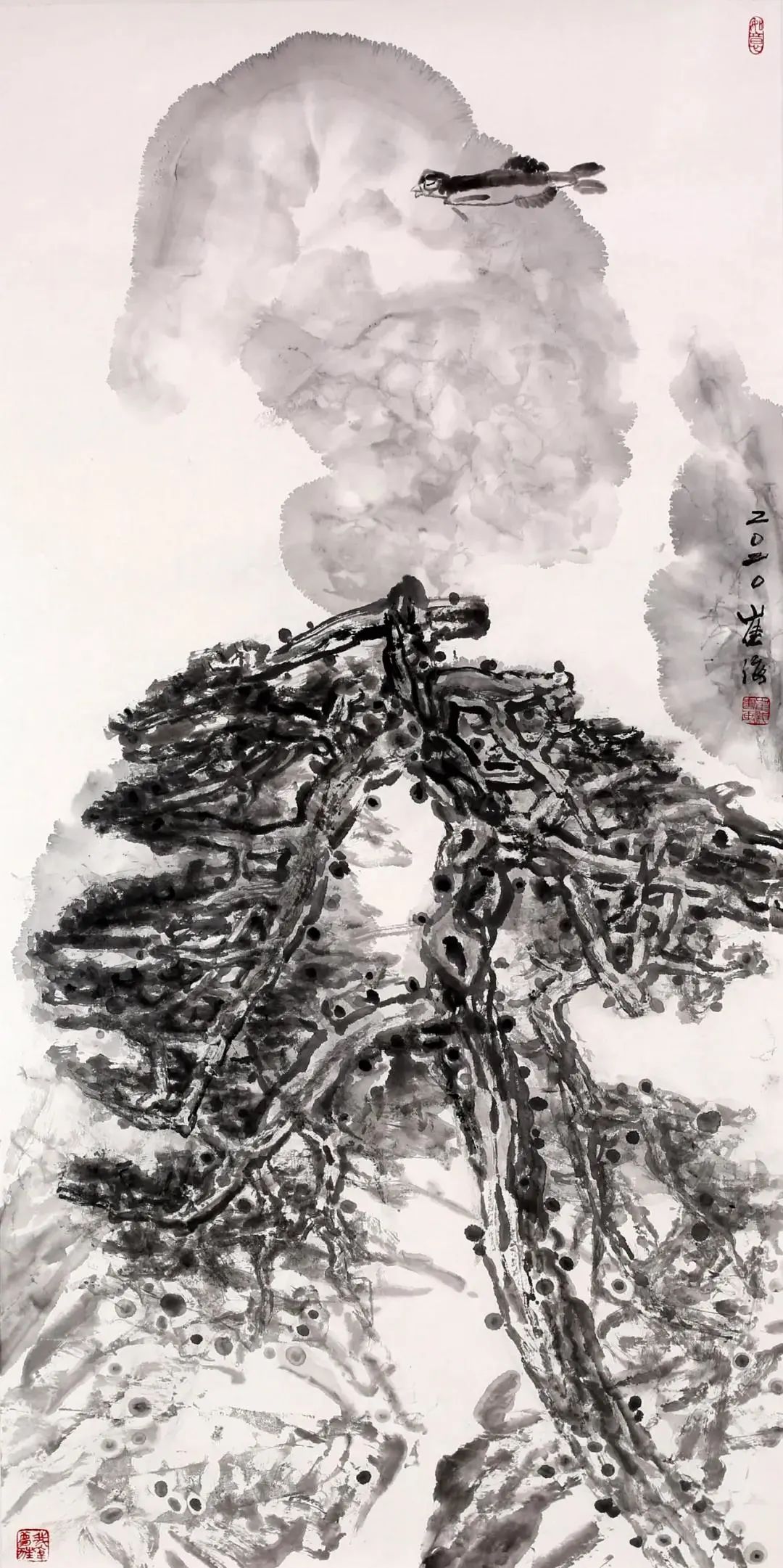 圖片