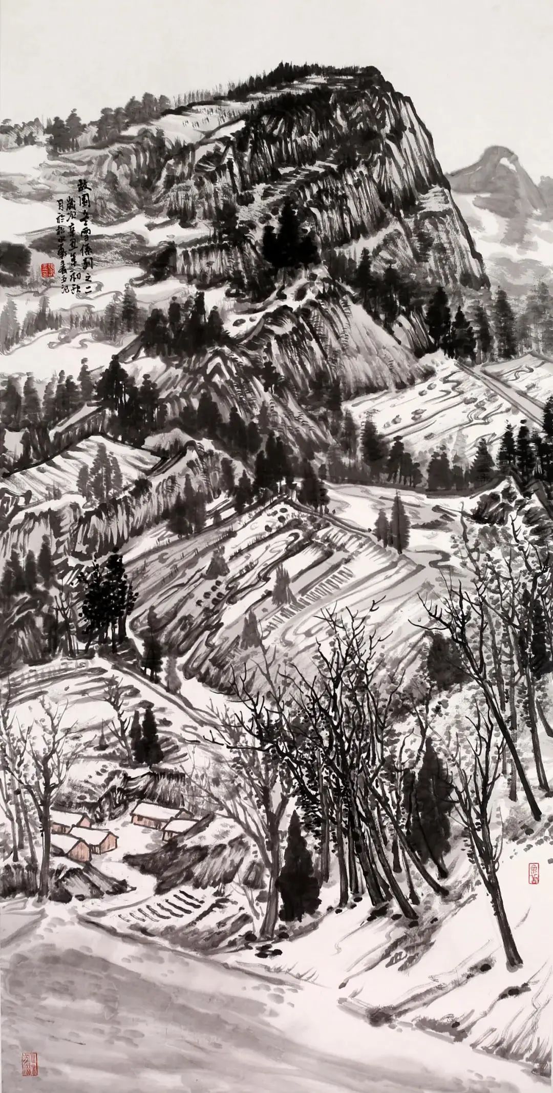 圖片