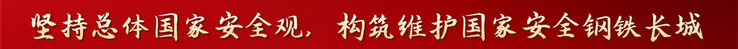 堅(jiān)持總體國(guó)家安全觀(guān)，構(gòu)筑維護(hù)國(guó)家安全鋼鐵長(zhǎng)城
