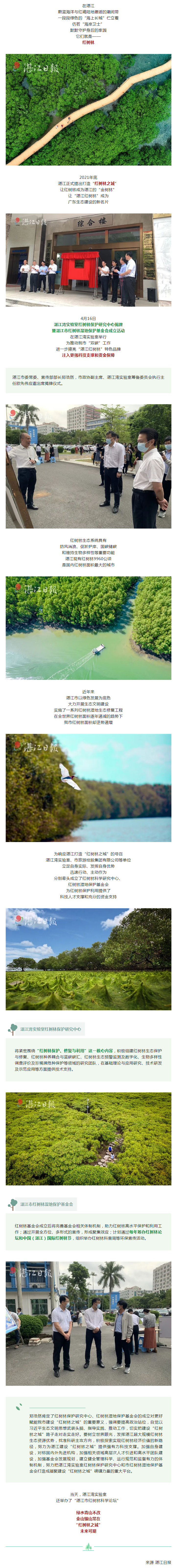 湛江紅樹林之城，插上騰飛的雙翼！.png