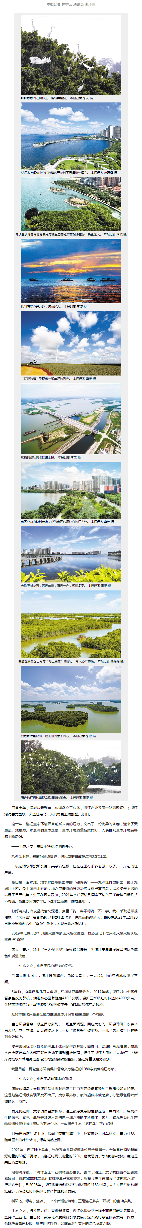 湛江日?qǐng)?bào)數(shù)字報(bào)-生態(tài)之變：天更藍(lán) 地更綠 水更清.png