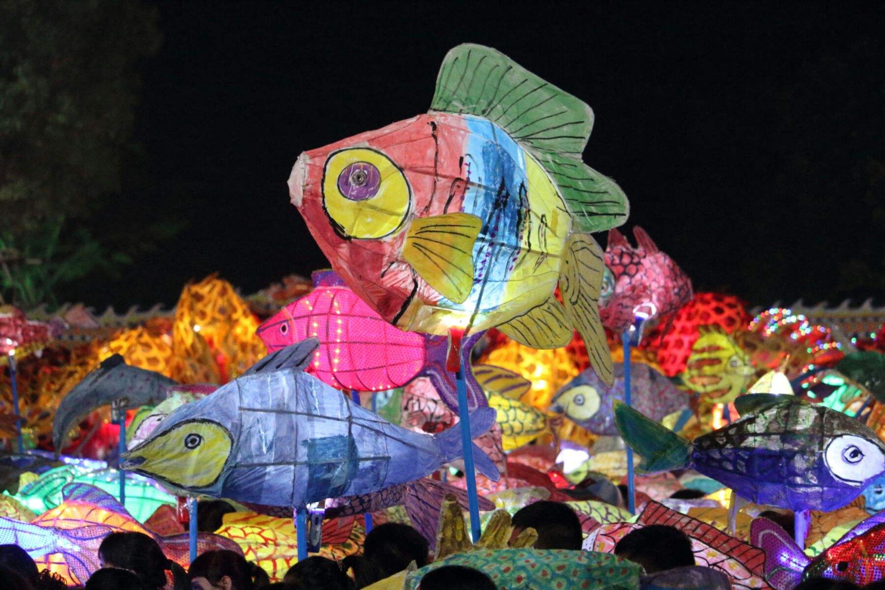 遂溪游魚