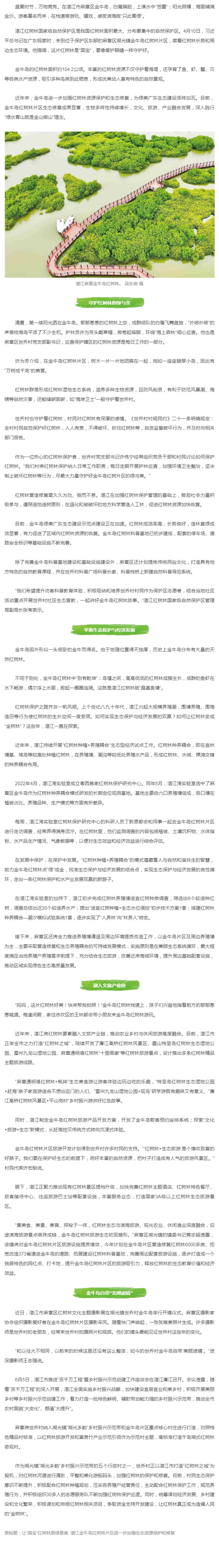【關(guān)注】讓“國寶”紅樹林更綠更美！湛江金牛島持續(xù)加強生態(tài)資源保護和修復(fù).png