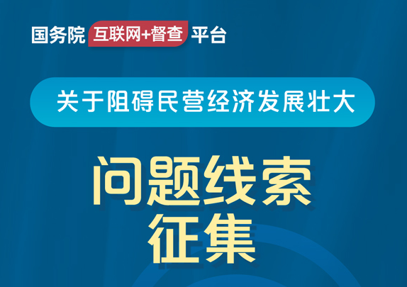 互聯(lián)網(wǎng)+督查2