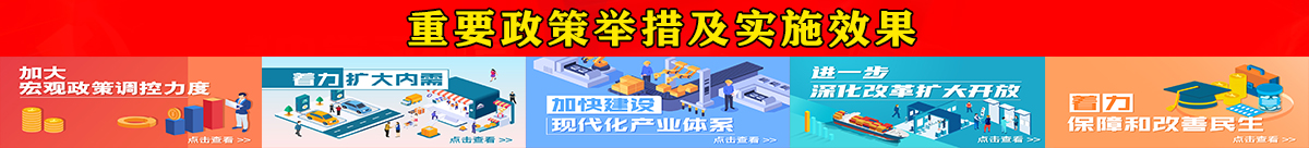 重要政策舉措及實施效果