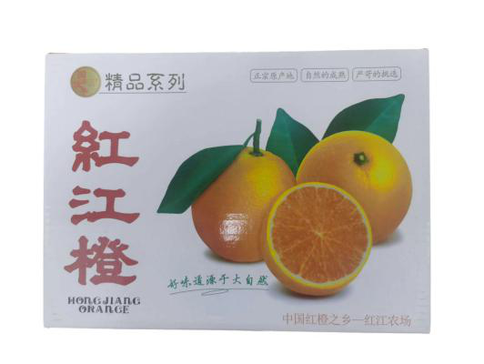俯視2.png