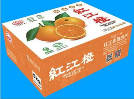 立體1.png