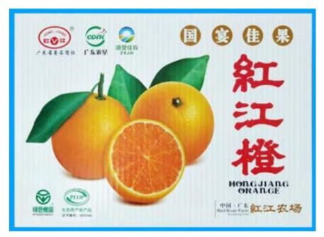 俯視1.jpg
