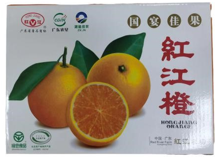 俯視2.jpg