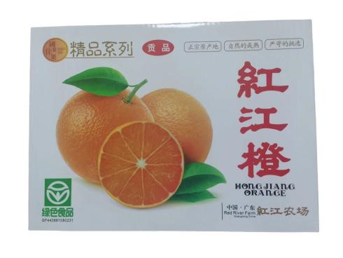 俯視2.jpg