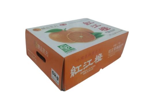 立體2.jpg