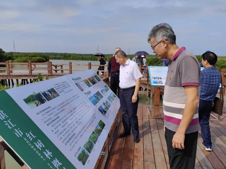 湛江市人民政府地方志辦公室開展“沿著總書記的足跡”暨“守護(hù)紅樹林，共建綠美湛江”主題黨日活動(dòng)