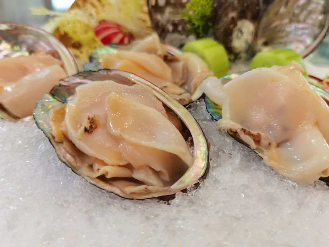 硇洲鮑魚