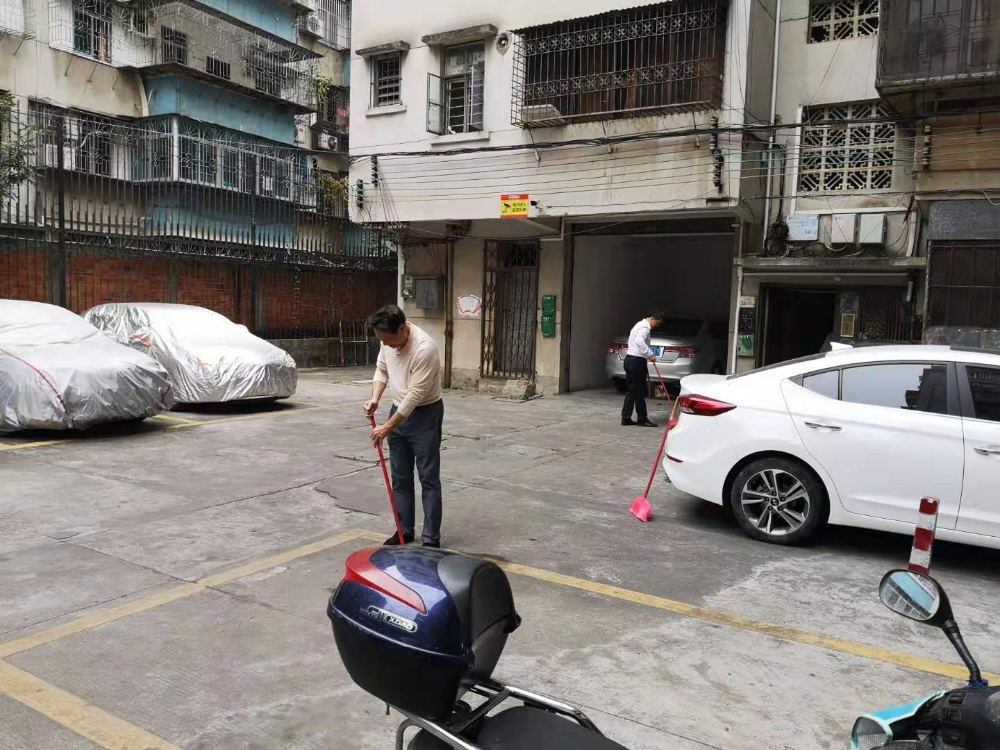 干部職工在赤坎區(qū)灣北路老干宿舍區(qū)打掃衛(wèi)生