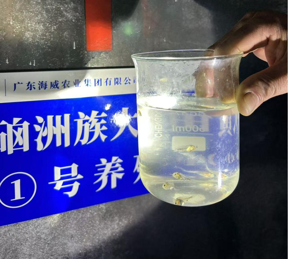 圖片2.png