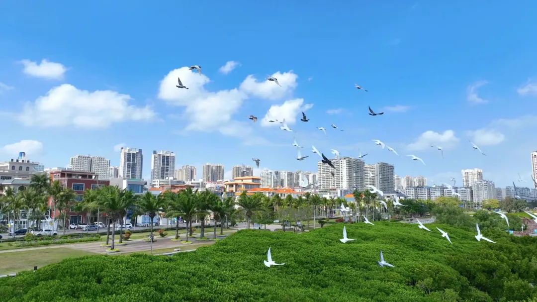 微信圖片_20250402223938.png