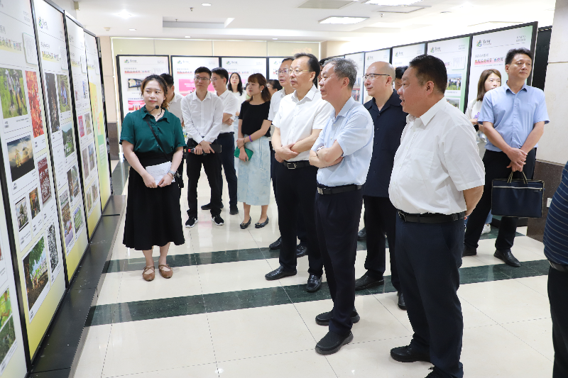 參觀“多彩鄉(xiāng)村系列實踐活動成果‘百校展’”.JPG