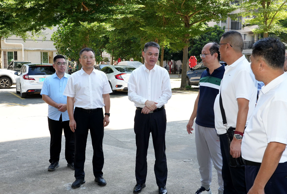 湛江市住房和城鄉(xiāng)建設(shè)局開展住建領(lǐng)域安全生產(chǎn)、基孔肯雅熱防控和黑臭水體防治工作檢查