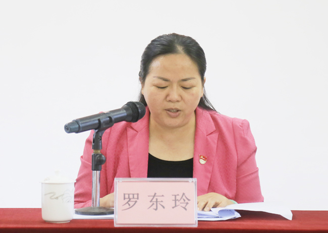 （3）市委主題教育指導(dǎo)組第十組組長(zhǎng)羅東玲講話(huà).jpg