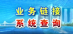 業(yè)務(wù)鏈接 系統(tǒng)查詢